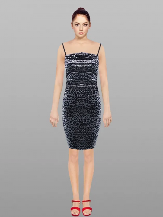 Dress29