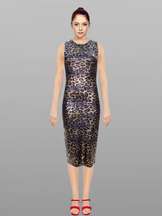 Dress30